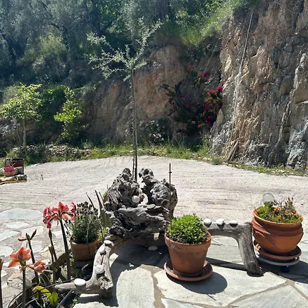 דירה Pelion Mountain & Sea - Private *